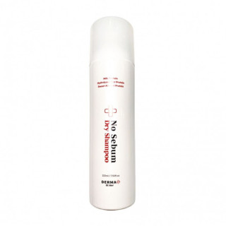 Сухой шампунь для волос Akei Derma No Sebum Dry Shampoo